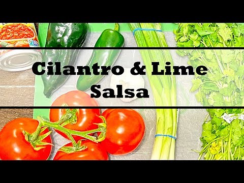 How to Make Cilantro Lime Salsa Recipe | How To Make Salsa | Easy Salsa Recipe