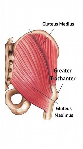 BEST At-Home Exercise for Hip Bone Density