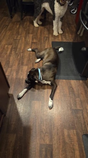 itsbuddytime on TikTok