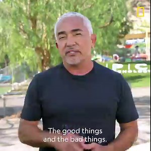 137K views · 2.6K reactions | "A dog reflects the energy of humankind. The good things and the bad things," says Cesar Millan (a.k.a. the Dog Whisperer) whose new show "Better Human, Better Dog" teaches humans to be one with their pack. Don't miss new episodes Wednesdays on Disney+. | National Geographic | Facebook