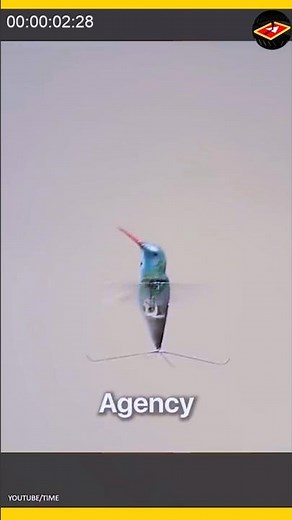 DARPA’s Spy Hummingbird: The Ultimate Stealth Surveillance Drone.