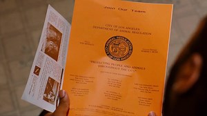 Watch 'I ain't trying to be no dog-catcher! Why not? I don't even like dogs! That's the beauty of...' | Friday Clip