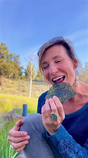 Seaweed might be one of the most underrated snacks out there