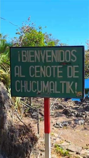 The best cenote in Chiapas? 🌊 Turquesa Infinito in Chukumaltik 🏍️✨