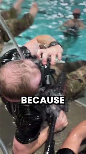 Seals Are Built Different