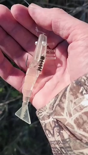 #lovefishing🎣 #foryou #lurefish #goodthingforyou #luerfishing