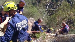 572 reactions · 99 shares | Ch 9 News story on yesterday morning's...