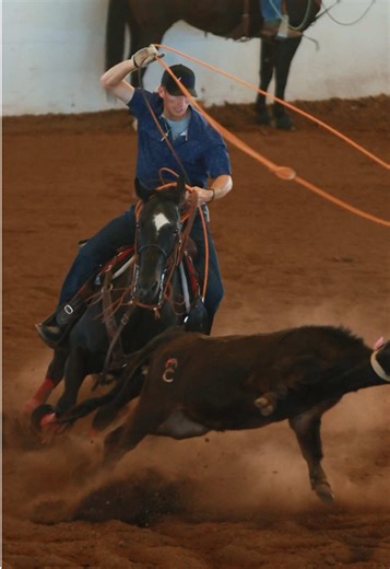 Team Roping Events with Buckeye AZ Cowboys