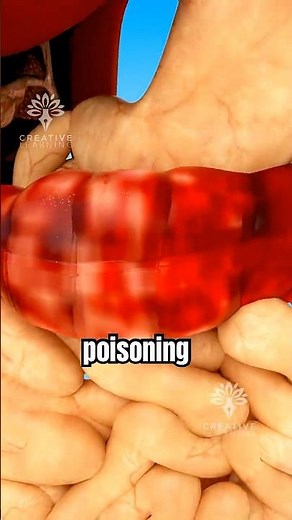 What Happens When Your Gut Stops?#guthealth #bloating