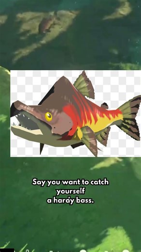 IT TOOK 8 YEARS TO DISCOVER THIS SECRET IN BOTW!!!