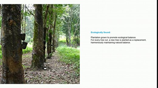 Solid Wood Shaker Style Accent Bench, Unfinished