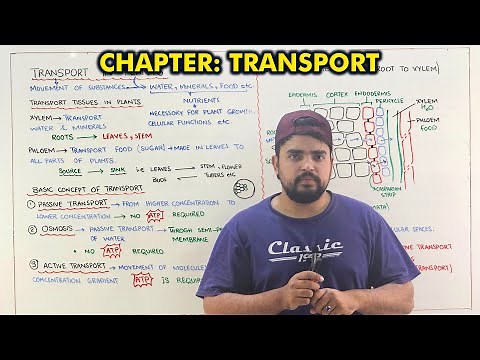 Class 9th chapter 9: Transport (One shot lecture)