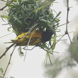 8.5K views · 42 reactions | AARB Magazine on Reels | Facebook