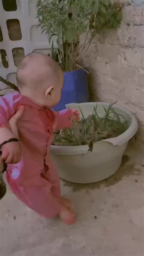 Ali Jatt (@akali.jutt.2025)’s videos with original sound - 𝗛𝗨𝗦𝗦𝗔𝗜𝗡𝗜 𝗝𝗔𝗪𝗔𝗡🚩