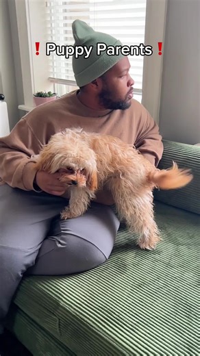 Tap the link in bio for puppy training help that makes daily life with your pup easier! Puppyhood is cute, messy, loud, funny, and sometimes a little overwhelming. They’re learning what works, what’s safe, and how to live in your world. A little structure now can save you both a lot of stress later. #puppytraining #puppytrainingtips #newpuppy #puppyparent #dogtrainingtips #pawchamp