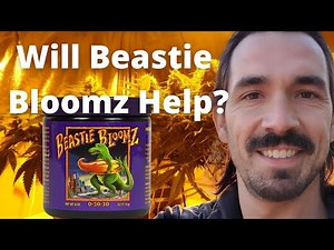 Fox Farm Beastie Bloomz