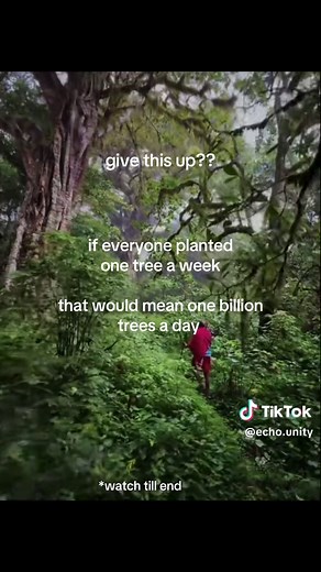 Three Simple Tasks for a Solarpunk Future