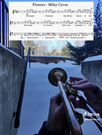 I Can Buy Myself Flowers - Miley Cyrus