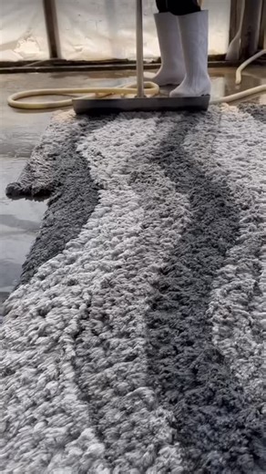 ASMR Rug Clean | Satisfying Rug Scrapes ASMR Cleaner: SoClean Shorts on YouTube #satisfyingvideos #asmrvideos #asmrcleaning #oddlysatisfying #asmrrugscrapes | Instagram