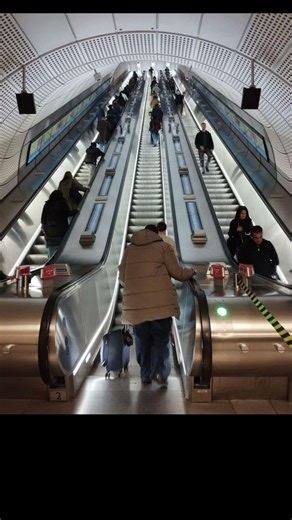 Top 3 Amazing facts #facts #shortvideo #shorts