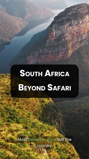 South Africa Beyond Safaris: Top Things to Do! 🇿🇦🐘🍷🐧 #shorts #travelshorts
