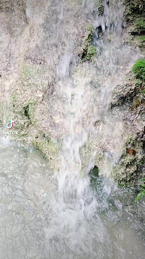 Fox Gaming on TikTok