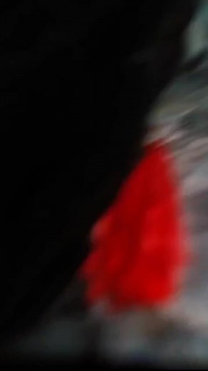 Laila Khan's New Pashto Song Release