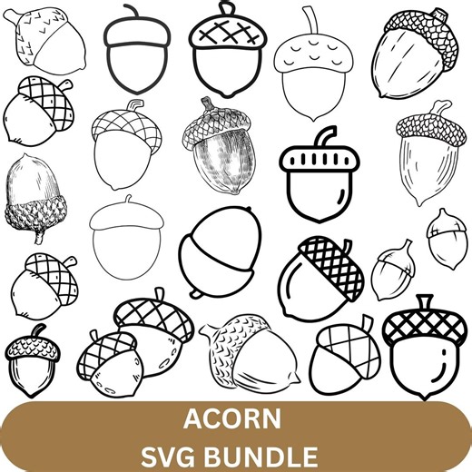 Acorn SVG Bundle: Fall Vector Graphics (digital Download) - Etsy