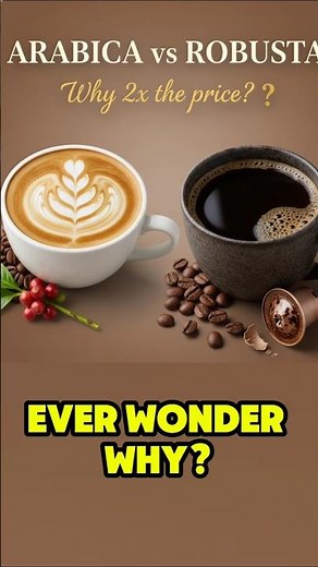 Why Arabica Coffee Is So Expensive ☕ (But Totally Worth It!)#coffee #shorts