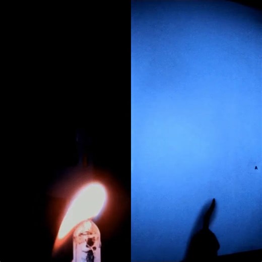 Parabolic flight experiment highlights flame dynamics in microgravity