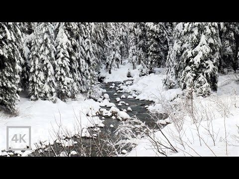 4K Snowy Winter Forest | Gentle Mountain River Sounds for Sleep & Study | Nature Scene for Relaxing