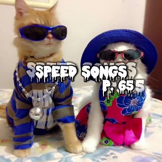 Gevorg Martirosyan & Mash Israelyan-De heriq e #speedsongs #🇦🇲 #speedarmeniansongs