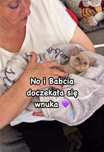 burmesecats_kittens na TikTok