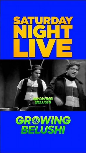 🌛 John Belushi & Dan Aykroyd Honeymooners #killerbees l #snlclassic #johnbelushi #snl #danaykroyd