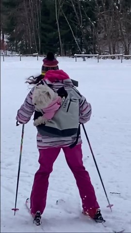 Meet the Cutest Dog Ever – You Won’t Believe How Adorable They Are