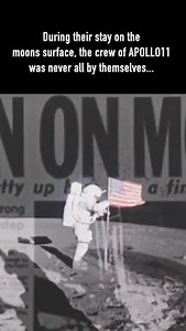 30K views · 675 reactions | #alien #ancientegypt #aliens #history #ufos #ancientaliens #ancient #UFOs #UFO #AncientEgypt #nasa #ancienthistory #NASA | Ancient Astronaut Theorists | Facebook