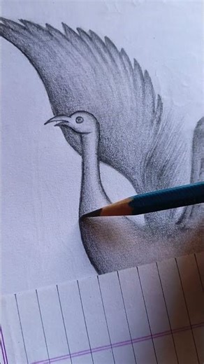 Bird realistic drawing..
