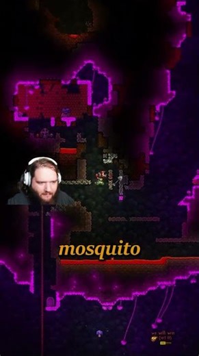 Raccoons In Terraria??? #gaming #letsplay #videogameplaythrough #funny #playthrough #terraria