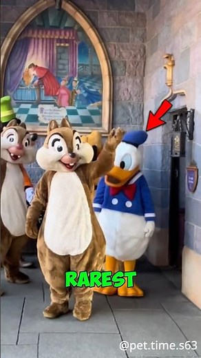 3 RAREST Characters To Spot At Disneyland!