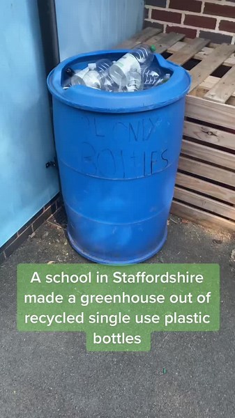 Windsor Park Middle School Plastic Bottle Greenhouse Project