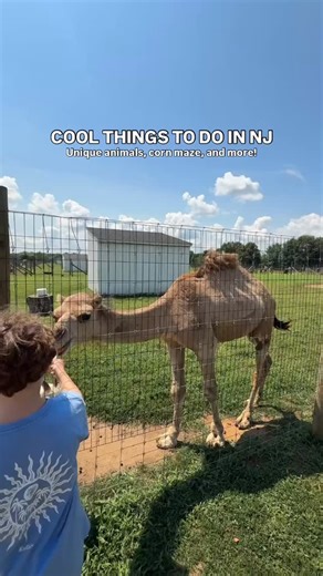 MUST VISIT FARM IN NJ Carm’s Farm in Colts Neck, NJ is one of the best NJ farms I’ve been to! There is so much to do from feeding farm animals, to a corn maze, train rides, gem mining, and much much more! If you are looking for things to do in New Jersey with the whole family, this is definitely the NJ farm for you! @carms_farm I can’t wait to come back again and visit in the fall! #njthingstodo #njfarms #njfamily #njfamilyfun #nj #newjersey | Meg Things