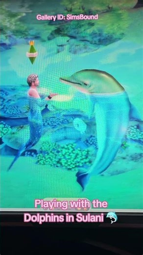 My Mermaid Befriended ALL the Dolphins in Sulani