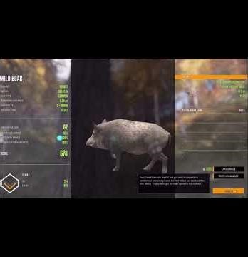 Two DIAMOND WILD BOAR From The Same TREE STAND! Call Of The Wild #monster #boar #hunterz