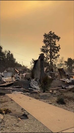 2025 was a year of contrast. The hardest moments. The most joyful ones. And a lot in between. Within these last 365 days… - Our house burned down. @tailsofrebuilding - I rode horses in Africa with incredible women. - Celebrated a milestone birthday in Vegas with my favorite people. - Gave a @tedx_official talk—with Rossi by my side. - Rossi and I performed at PetCon. - Maggie turned 18 🥹 - I snuggled my pony after every ride we were lucky enough to share. - I lost more hearing. - I gained answe