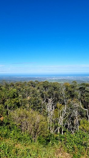 Daniel Baker on Reels | Facebook