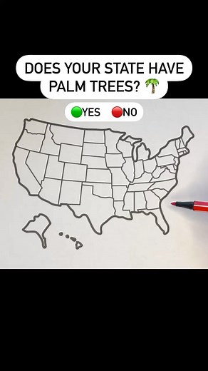 613K views · 79 reactions | DOES YOUR STATE HAVE PALM TREES?  #usa #unitedstates #map #geography #states #palmtrees | Drawingmapswithme | Facebook