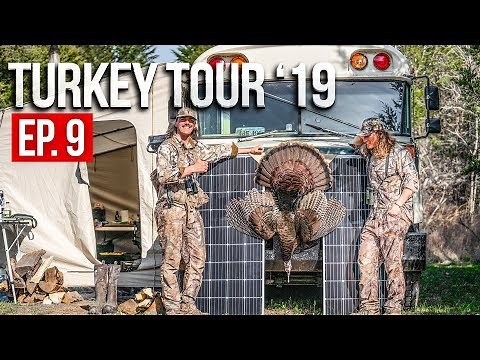 Spring Turkey Hunting - TENNESSEE PUBLIC LAND