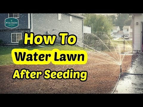 How To Water Your Lawn After Seeding