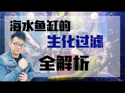 海水鱼缸的生化过滤全解析 | 小马说水族 | 海王频道