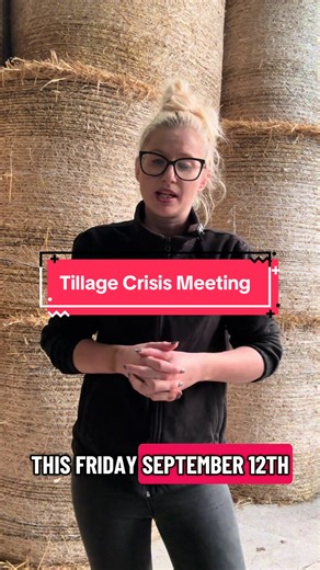 This Friday 12th September there is a Tillage meeting on the crisis the sector is in. 📍 Killashee, Naas ⏰ 7.30pm 🎤 Minister Heydon, IFA President Francie Gorman, IFA National Grain Chair Kieran McEvoy, Teagasc Grain Specialist Shay Phelan, Chairs of Tillage Industry Ireland, Irish Grain Growers Group, and Tillage Food Vision Group. ❗️Please support Irish Tillage❗️ @Irish Farmers' Association @Francie Gorman #supportourfarmers #irishtillage #grain #farming #fyp